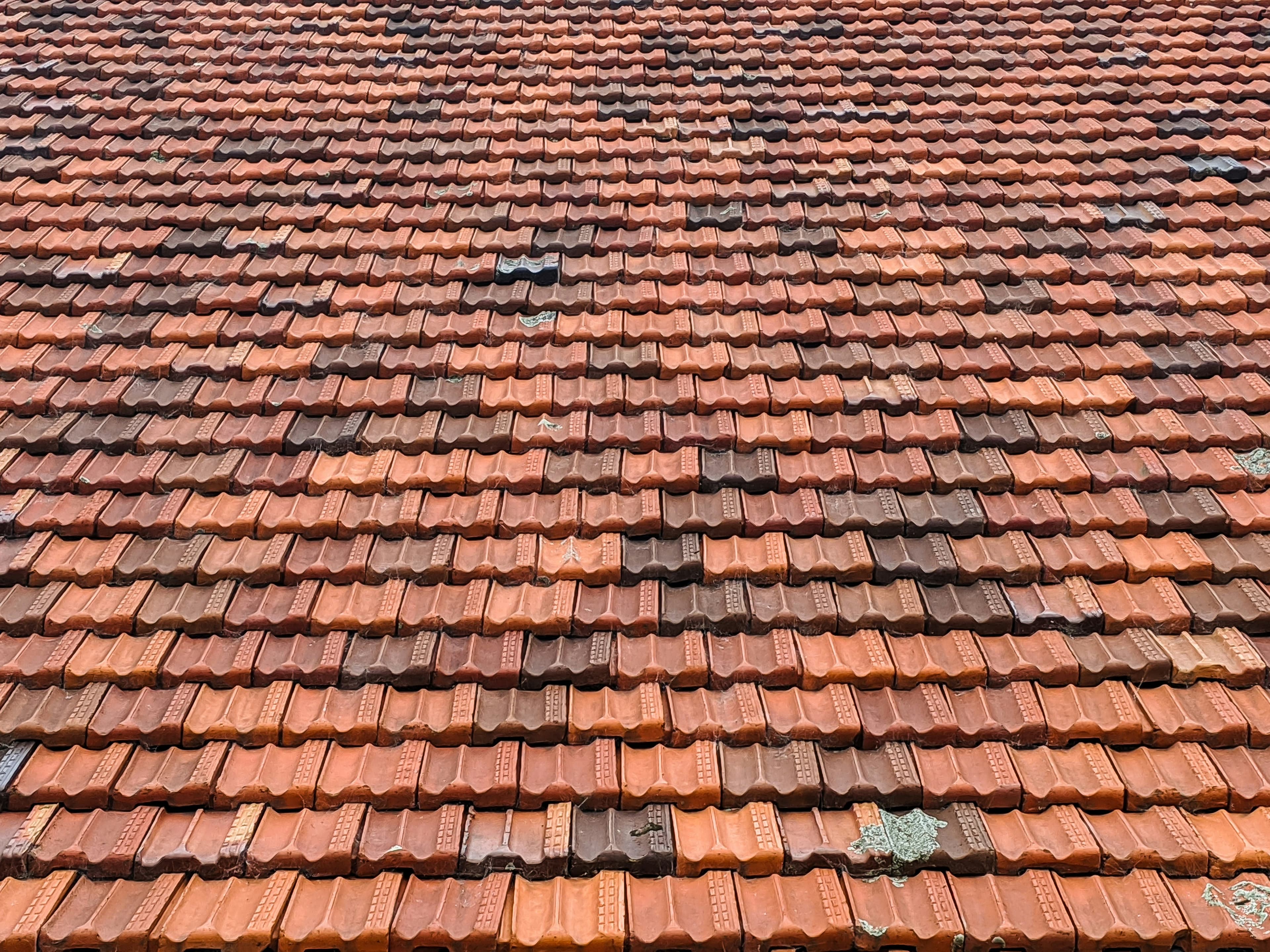 Terracotta roof restore — before